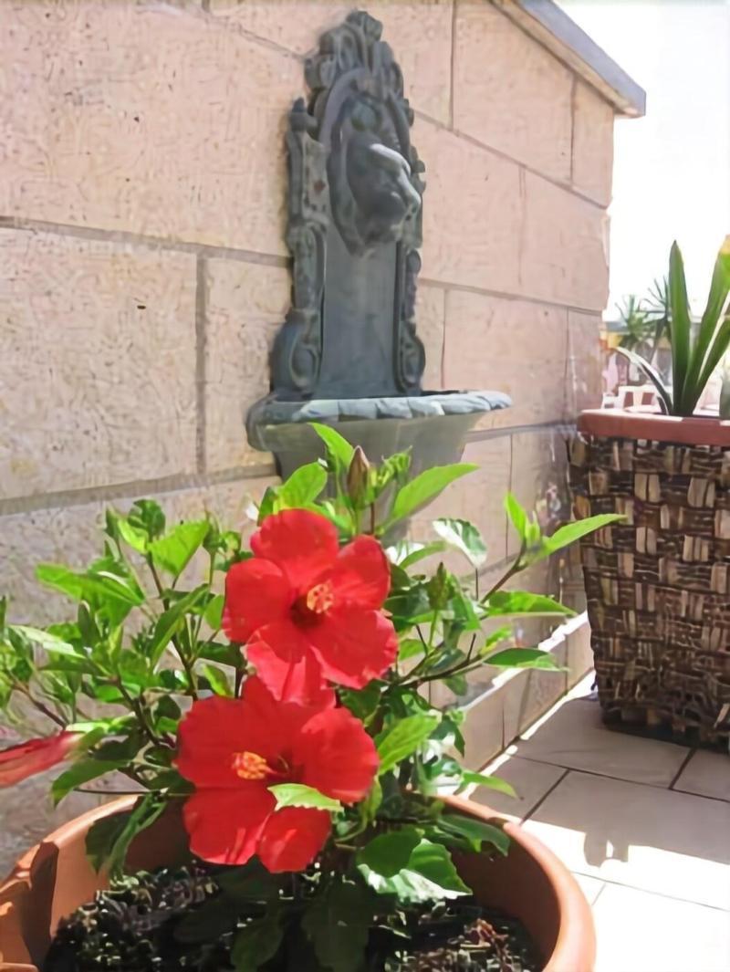 Hotel Garden 비아레지오 외부 사진