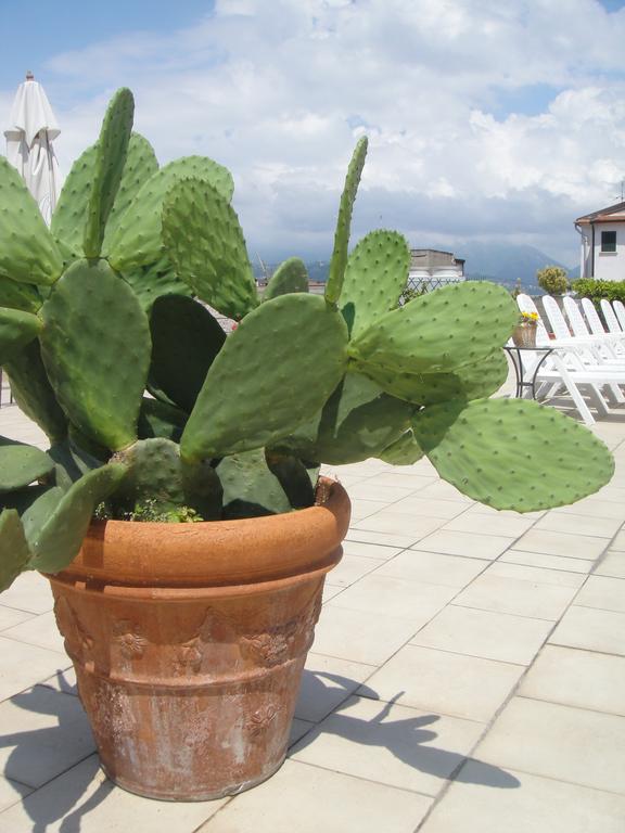 Hotel Garden 비아레지오 외부 사진